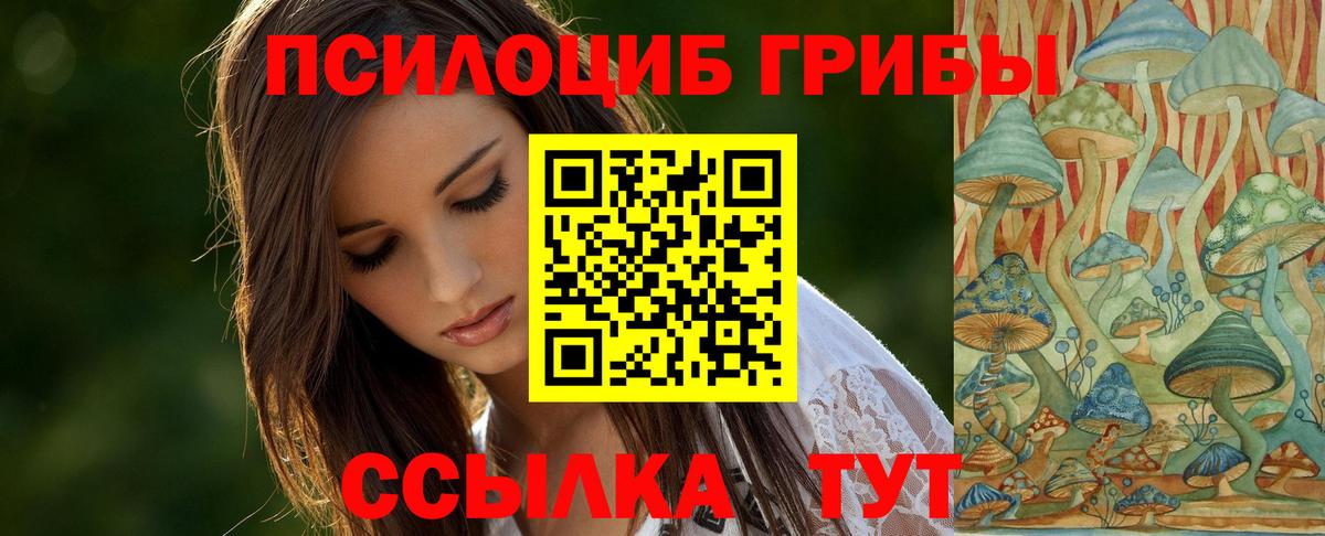 Галлюциногенные грибы Psilocybe  Вход с VPN  Георгиевск 